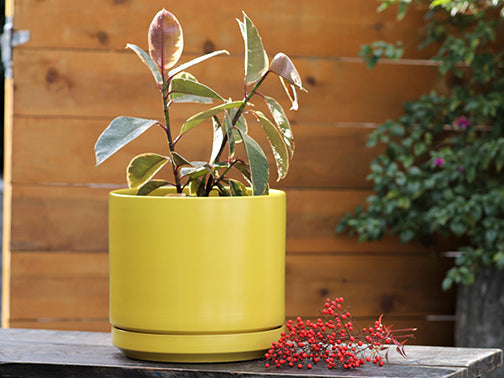 Mid Modern Planter With Detached Saucer By Plantatorem