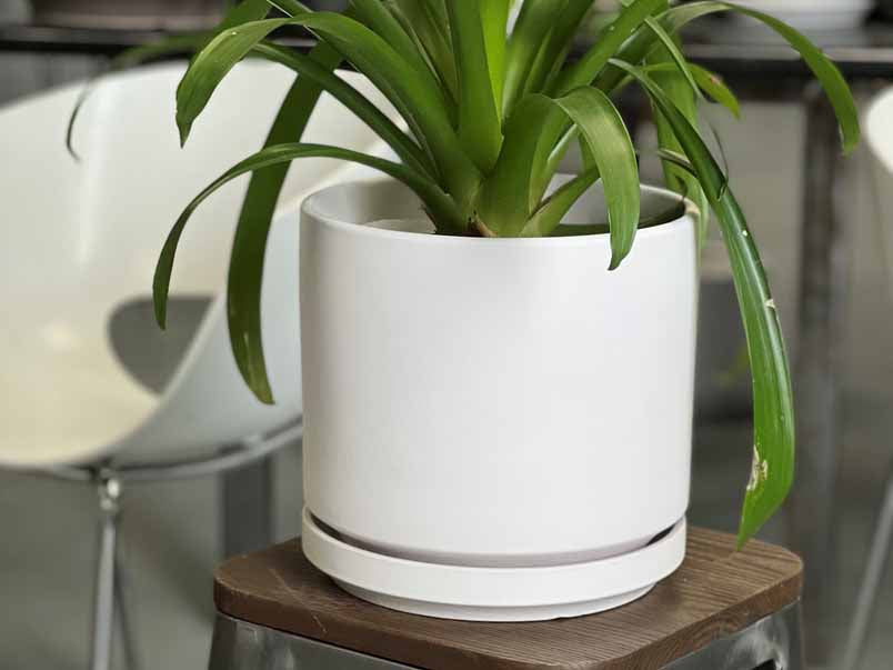 Mid Modern Planter With Detached Saucer By Plantatorem