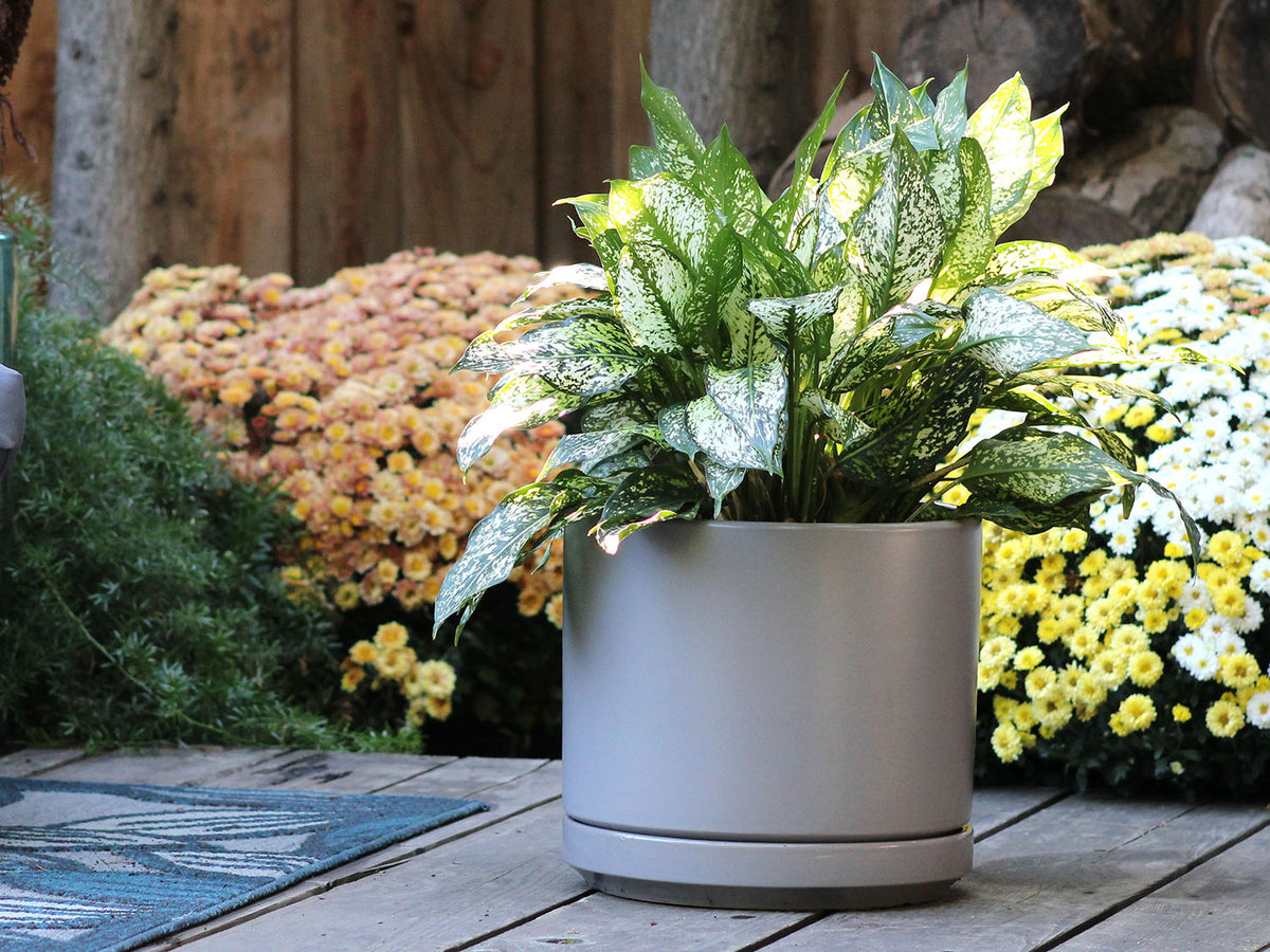 Mid Modern Planter With Detached Saucer By Plantatorem