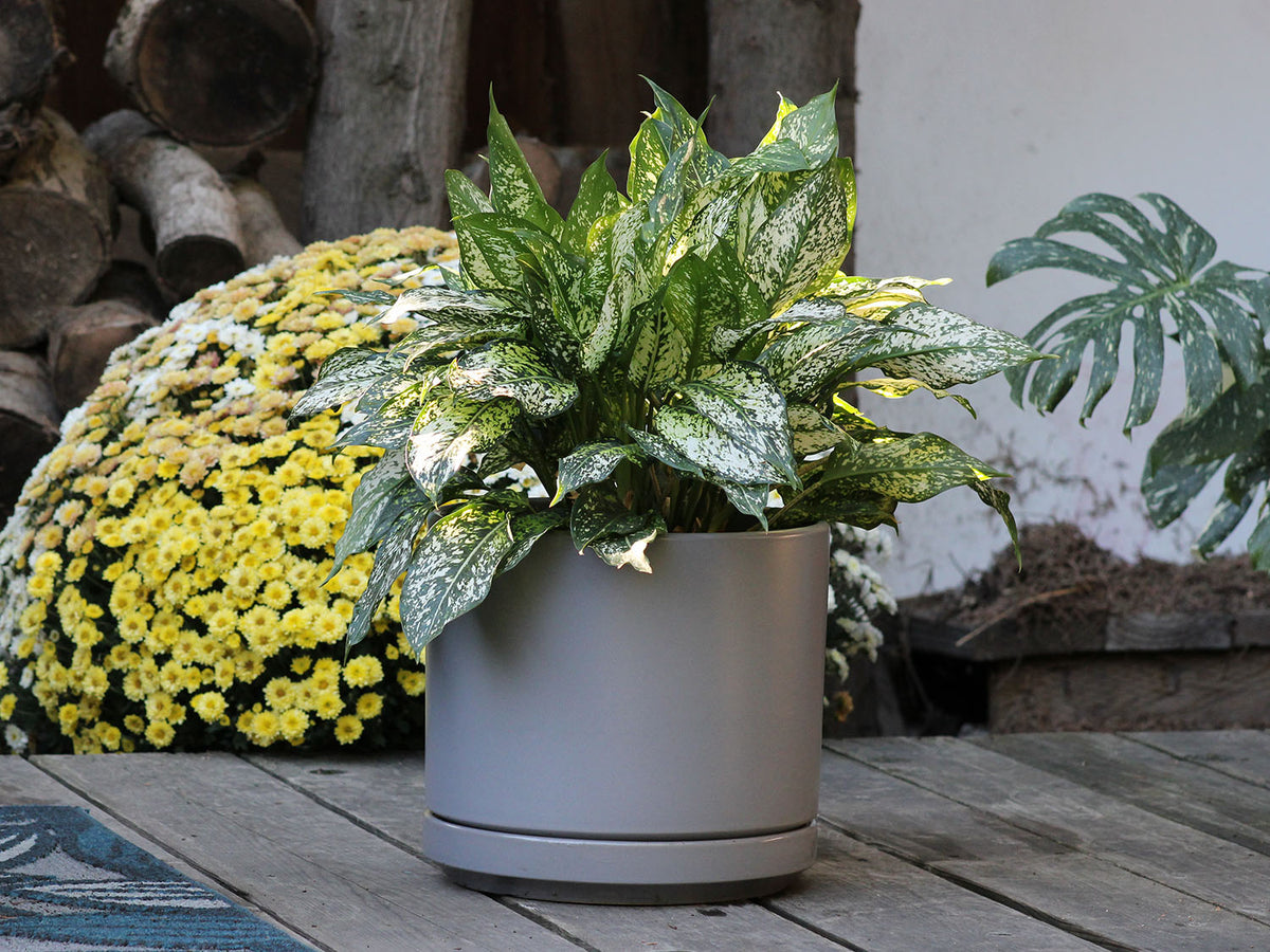 Mid Modern Planter With Detached Saucer By Plantatorem