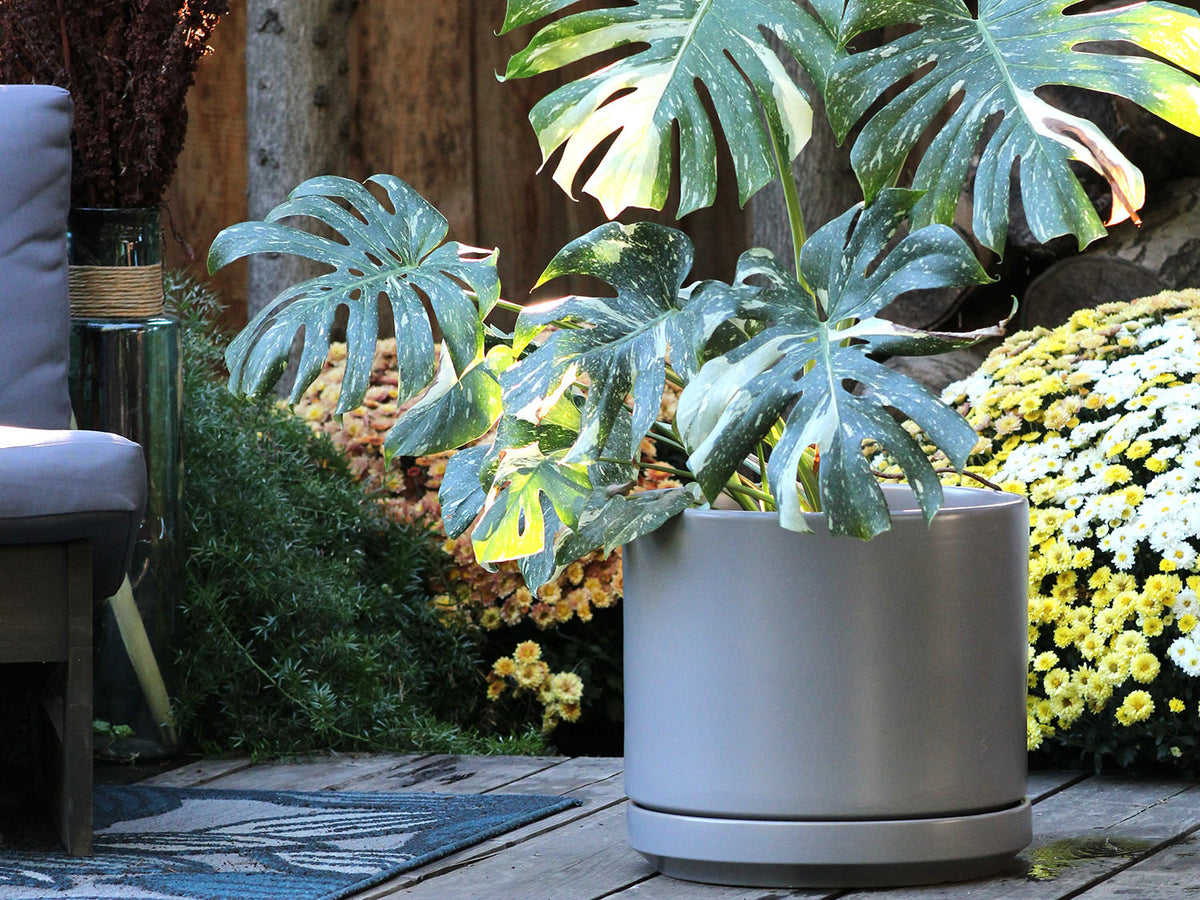 Mid Modern Planter With Detached Saucer By Plantatorem