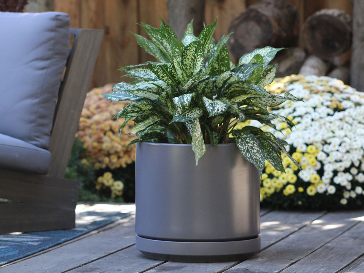 Mid Modern Planter With Detached Saucer By Plantatorem