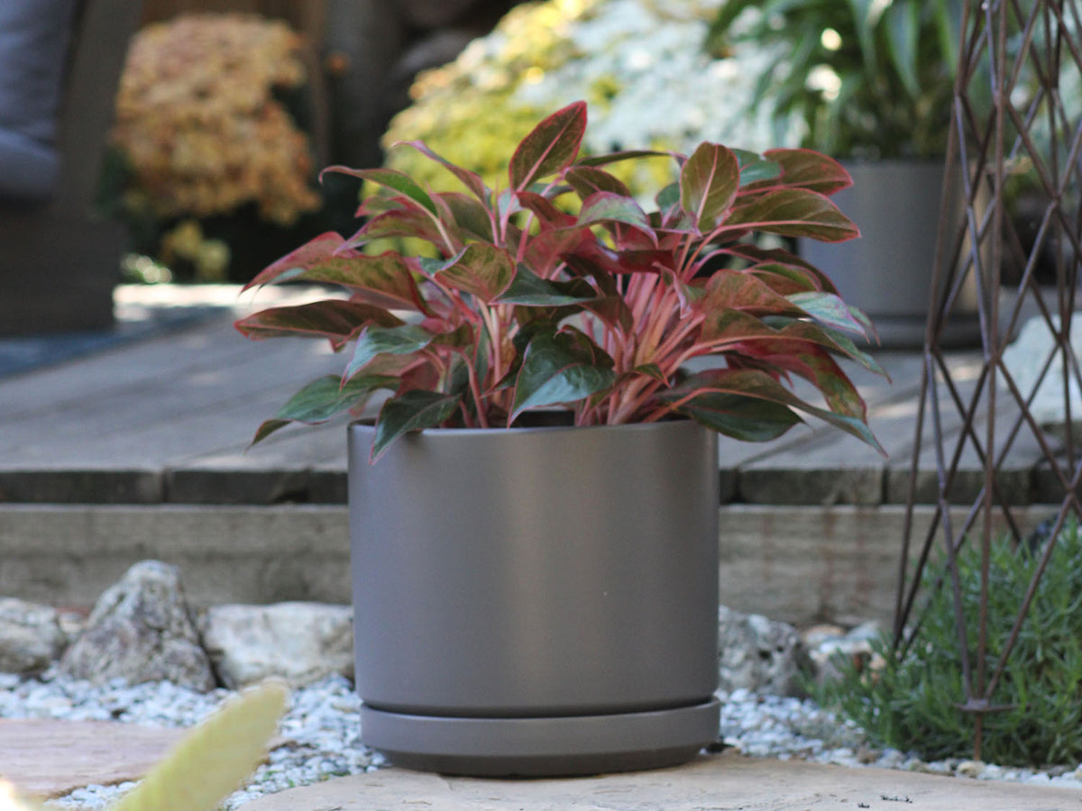 Mid Modern Planter With Detached Saucer By Plantatorem