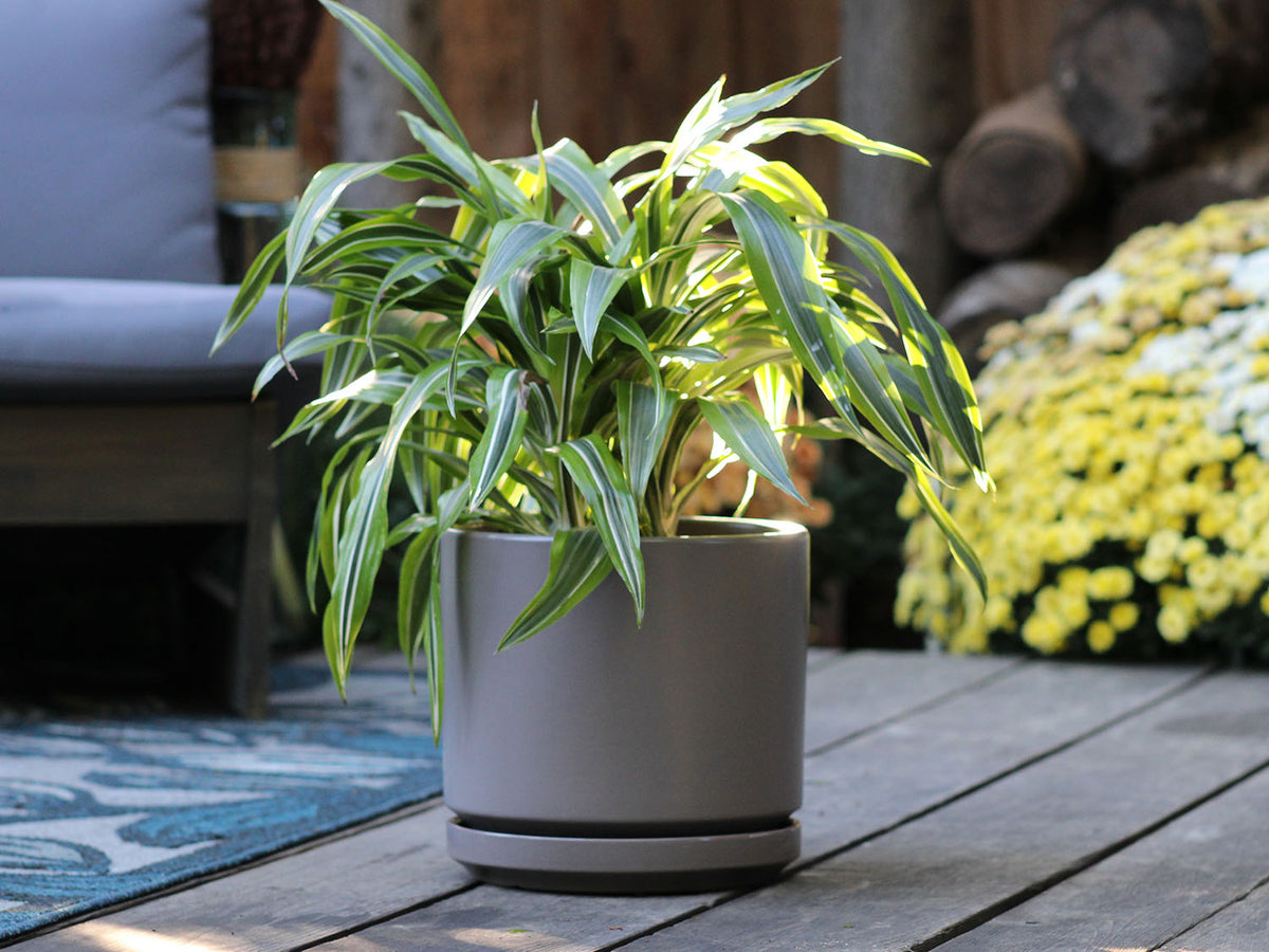 Mid Modern Planter With Detached Saucer By Plantatorem