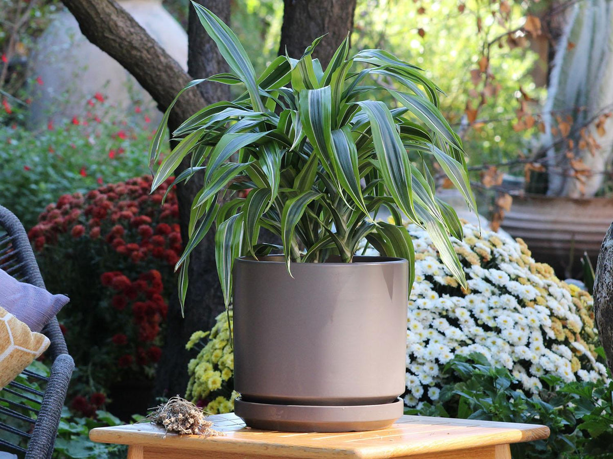 Mid Modern Planter With Detached Saucer By Plantatorem