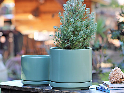 Mid Modern Planter With Detached Saucer By Plantatorem