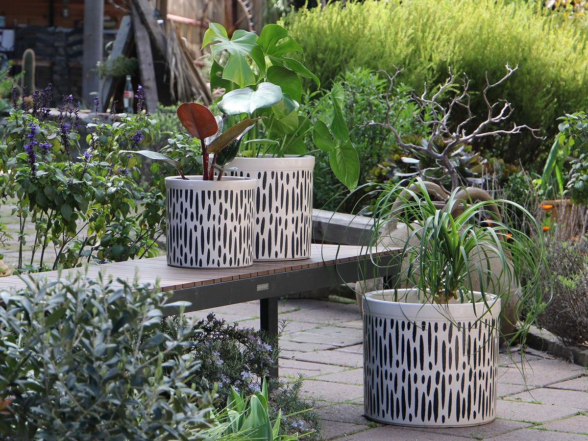 Crock Jar Planter By Plantatorem