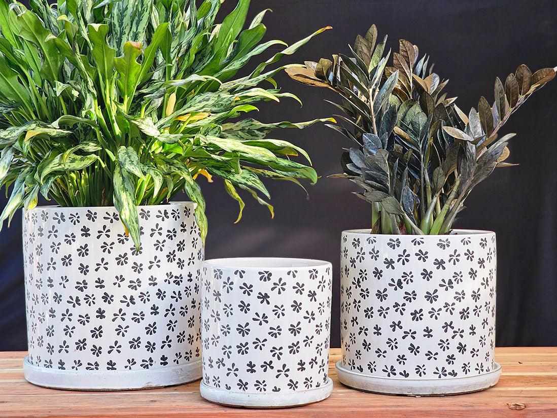 Easter Lilly Planter By Plantatorem