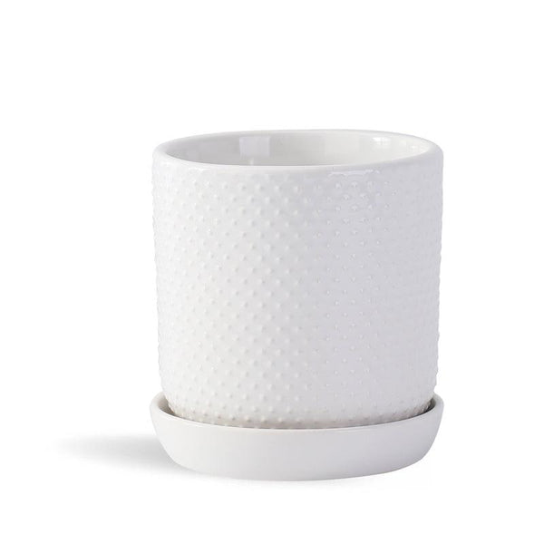 Dotted Cylinder Planter With Attached Saucer