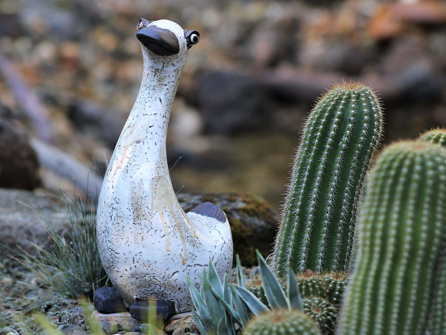 Goose