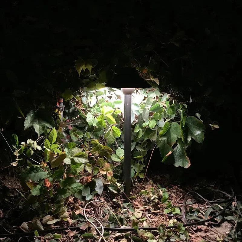 PLB02 Clear Lens Outdoor Garden Pathway Light | 12V Low Voltage Brass Path Light