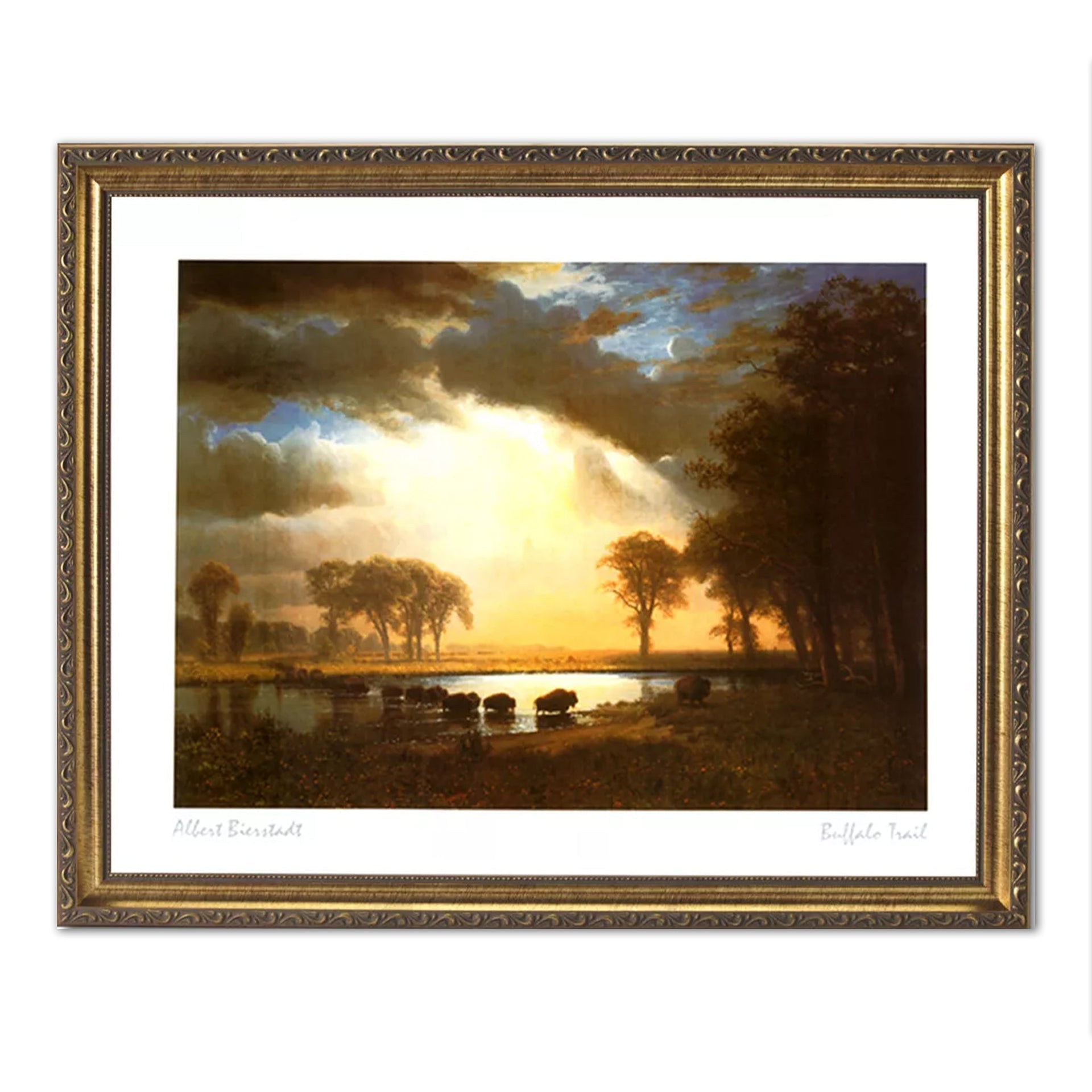 Gold Framed Wall Art - Buffalo Bison Outdoor Wall Picture With Real Glass Protection