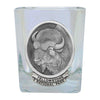 Buffalo Yellowstone National Park Prism Rock Glass