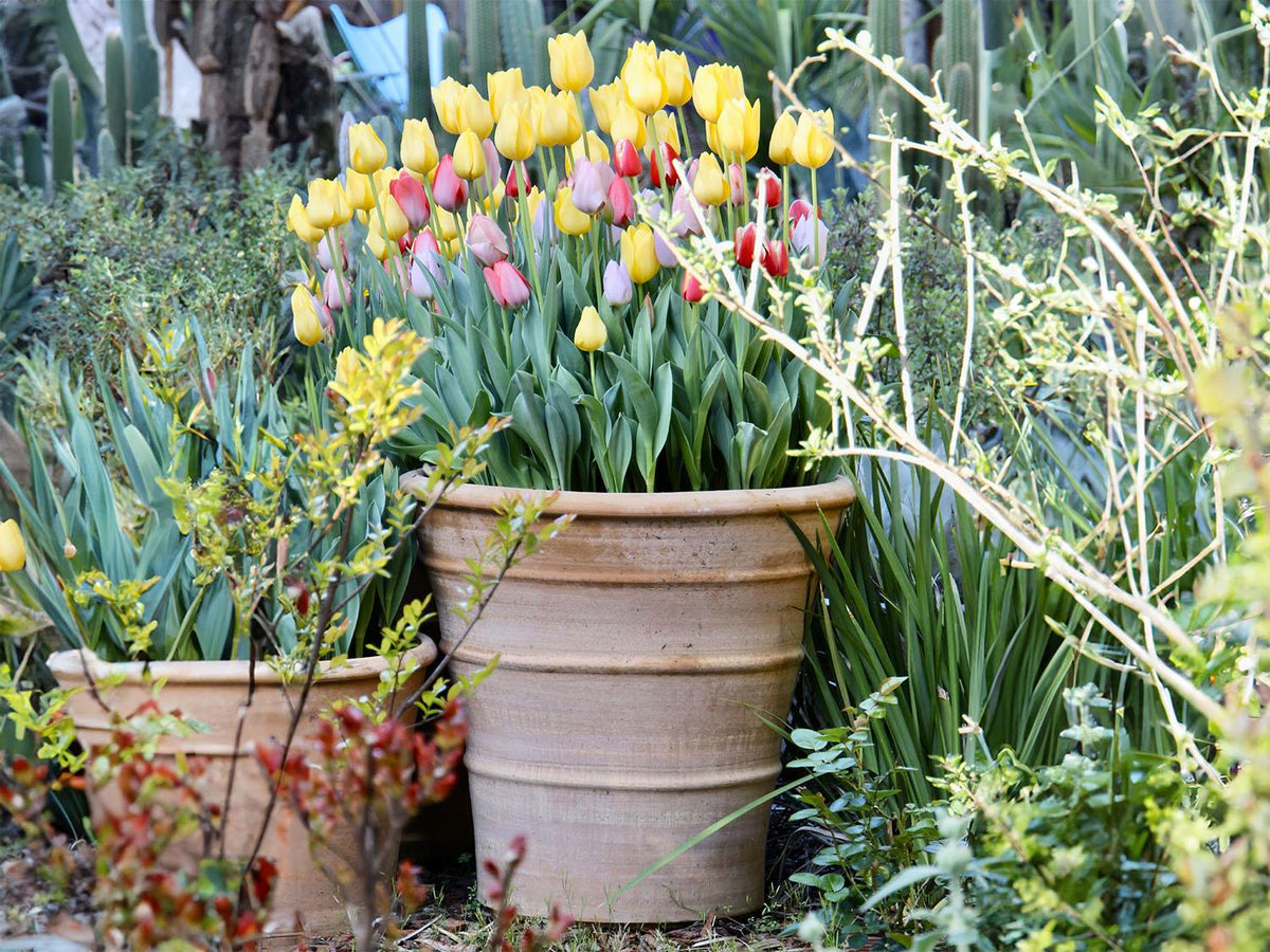 Monahou Planter By Plantatorem