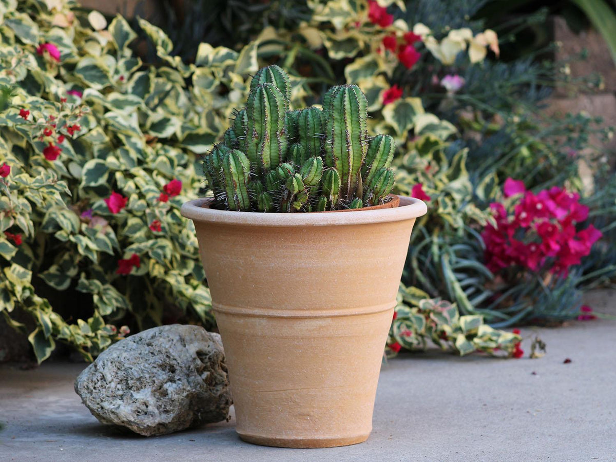 Monahou Planter By Plantatorem