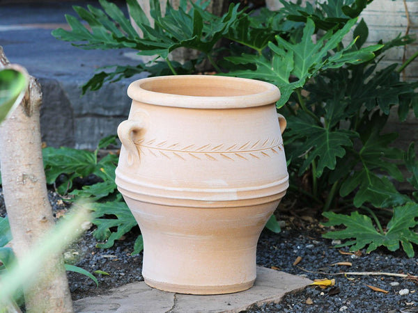 Pithari Urn By Plantatorem