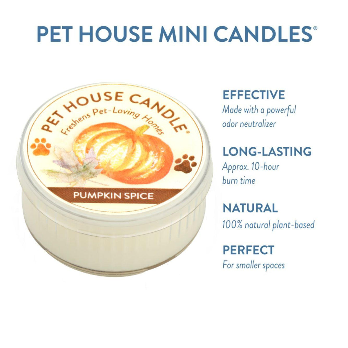 Pumpkin Spice Mini Candle