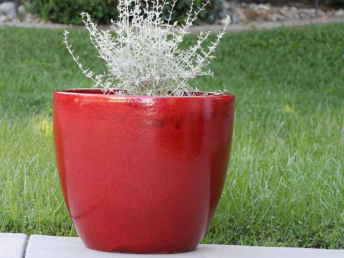 Coco Pots Glazed By Plantatorem