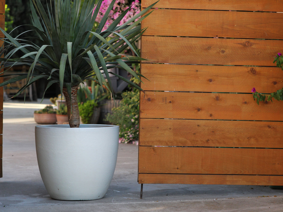 Coco Pots Glazed By Plantatorem