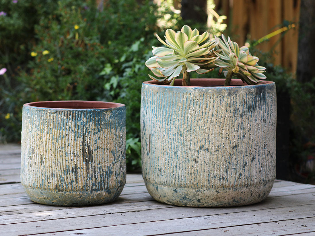 Delphinium Planter By Plantatorem
