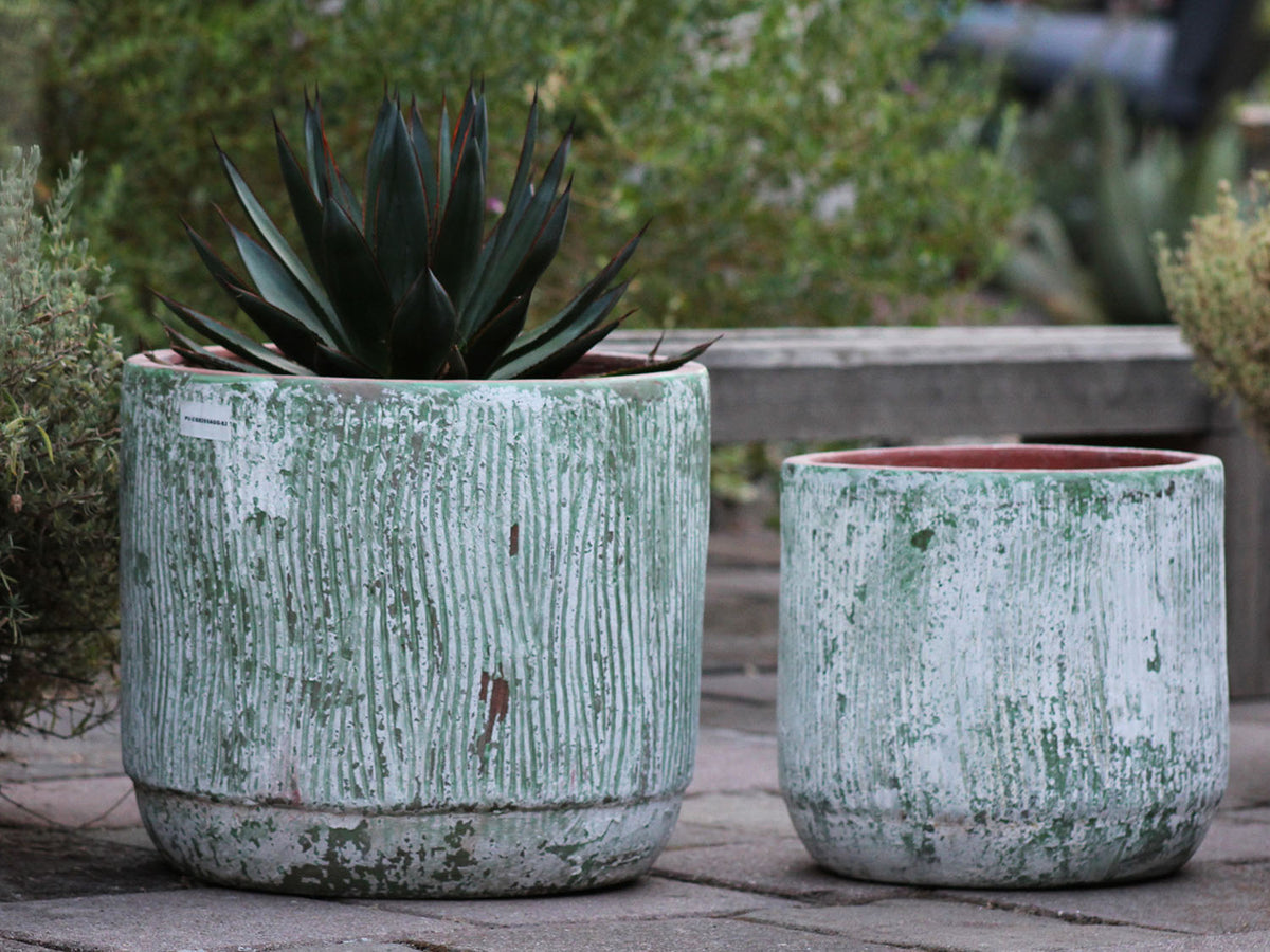 Delphinium Planter By Plantatorem