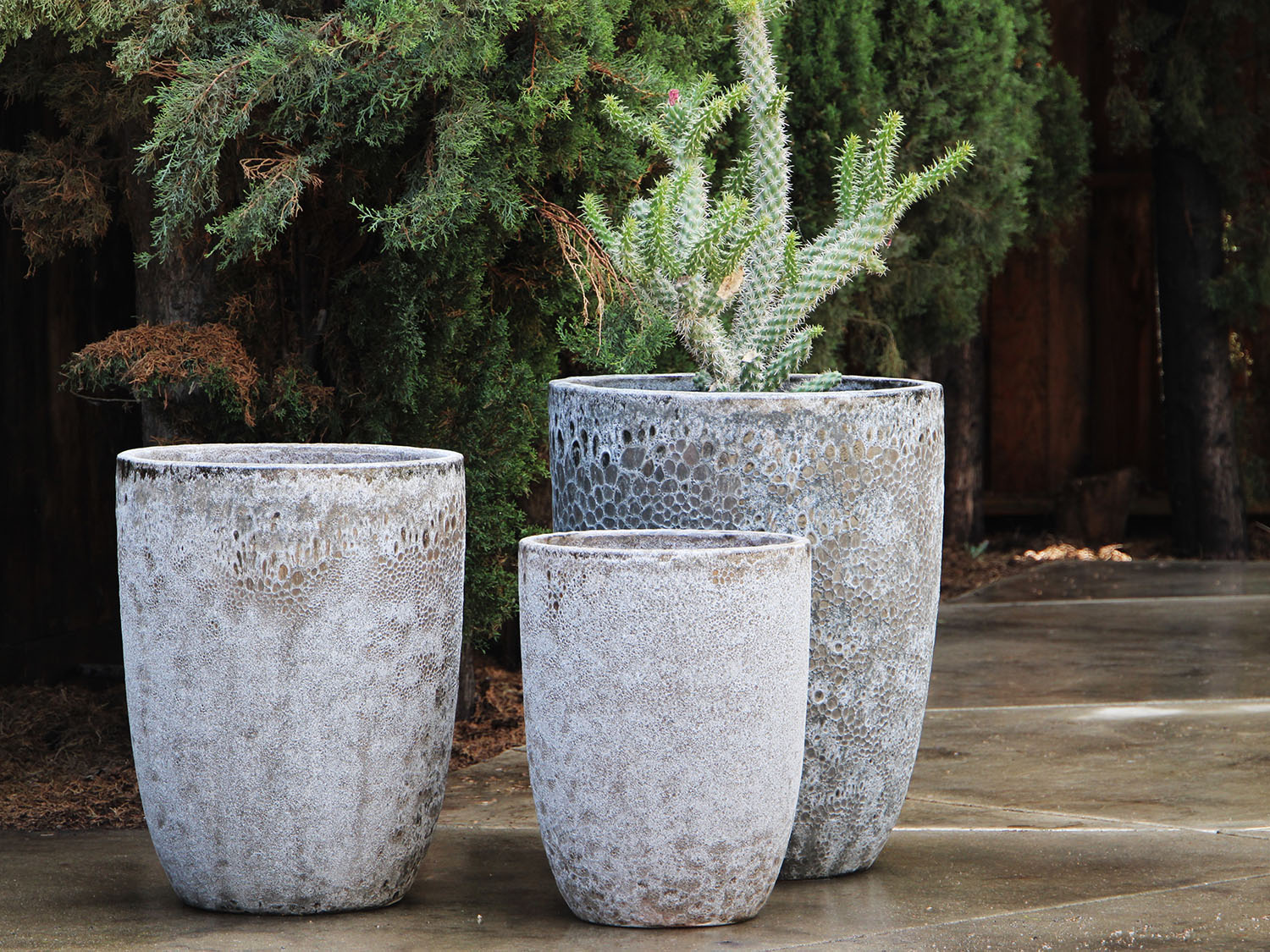 Tall Milano Cone Planter - (Coral) By Plantatorem