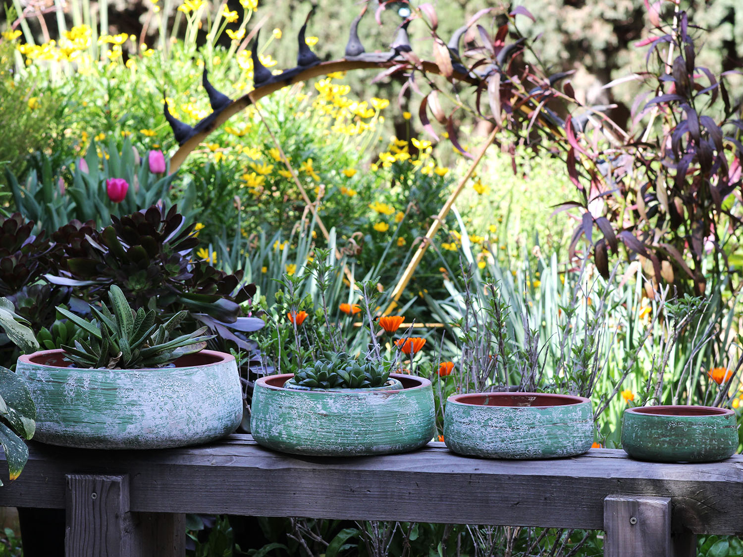 Hand Thrown Smooth Bowls- Set of 4 By Plantatorem PLANTATOREM