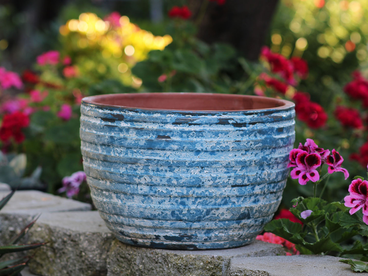 Ribbed Bowls