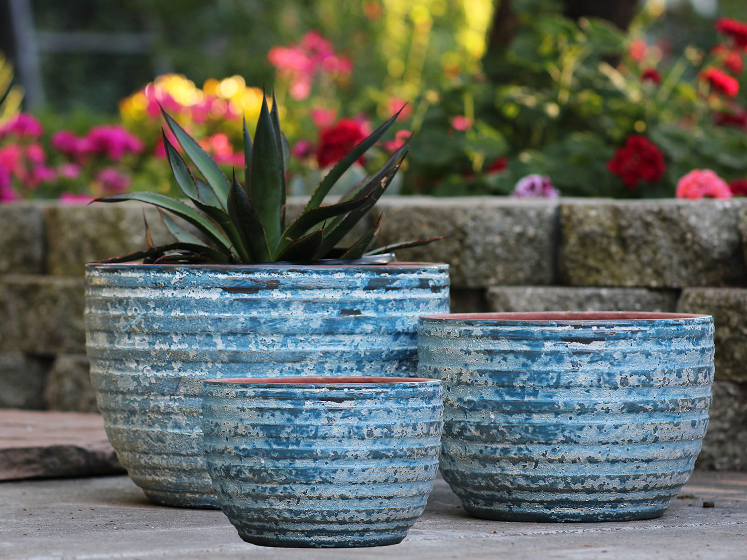 Ribbed Bowls