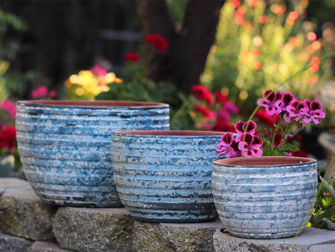 Ribbed Bowls