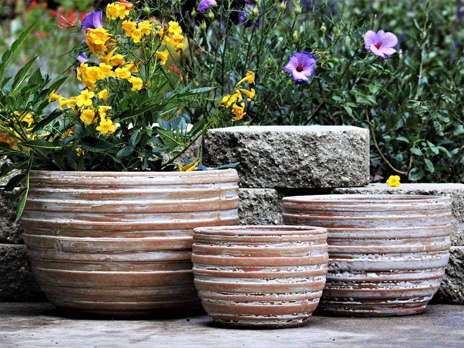 Ribbed Bowls