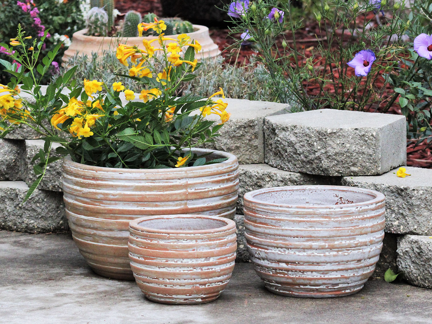 Ribbed Bowls