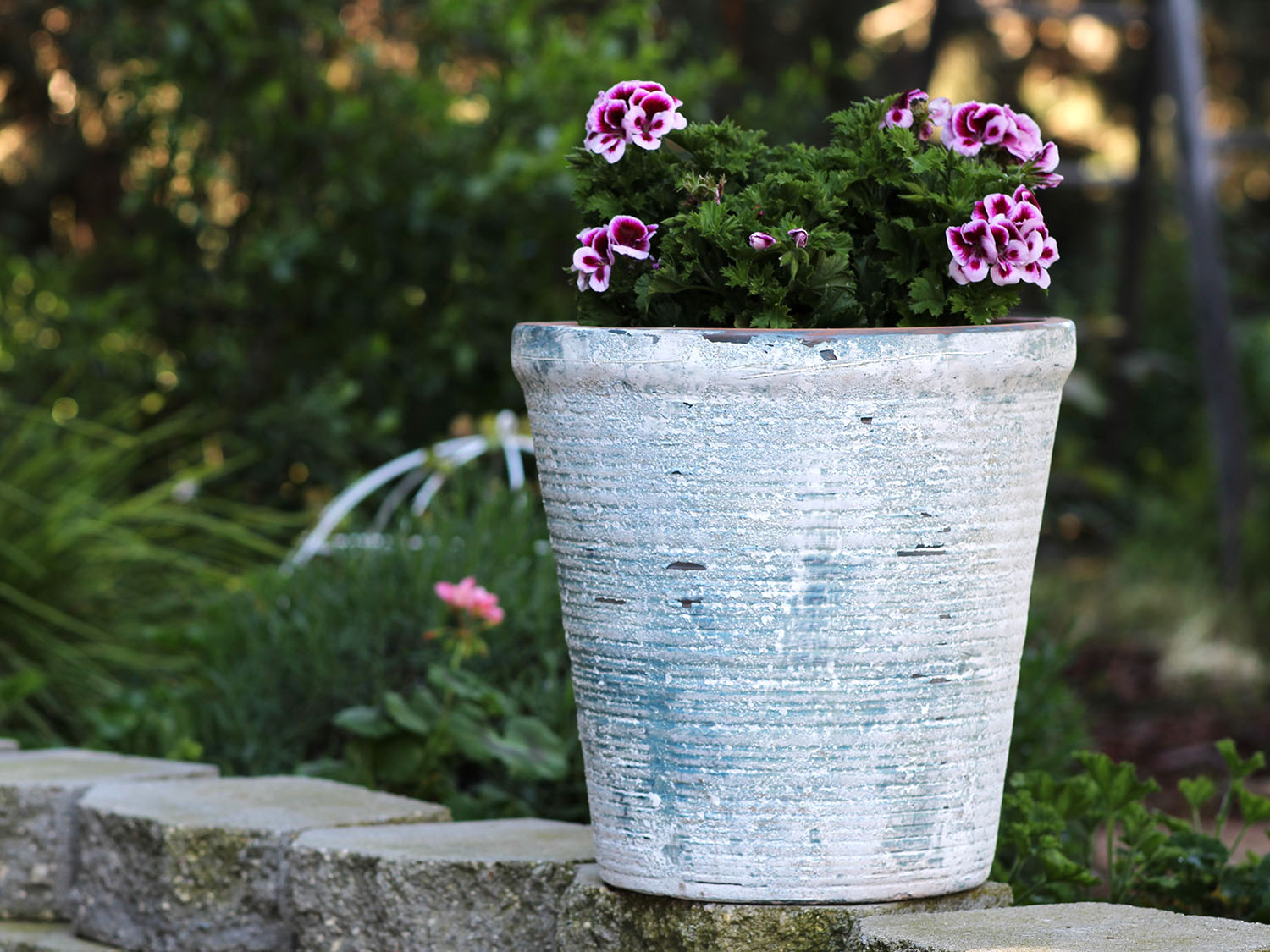 English Tumbled Pots Medium PLANTATOREM