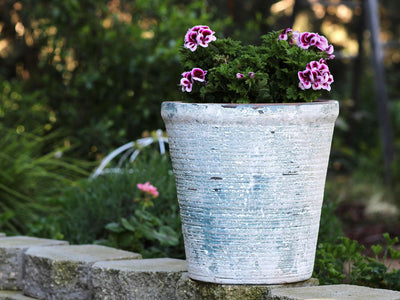 English Tumbled Pots Medium
