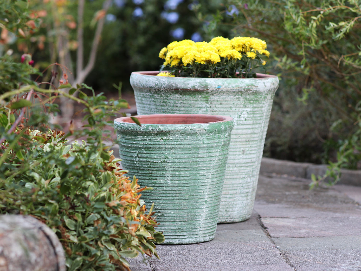 English Tumbled Pots Medium PLANTATOREM