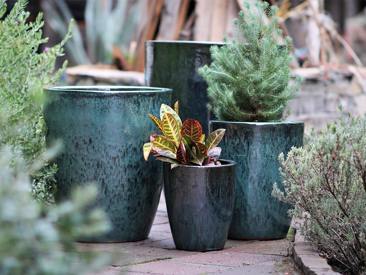 XLG Cone Planter - (Glazed) By Plantatorem