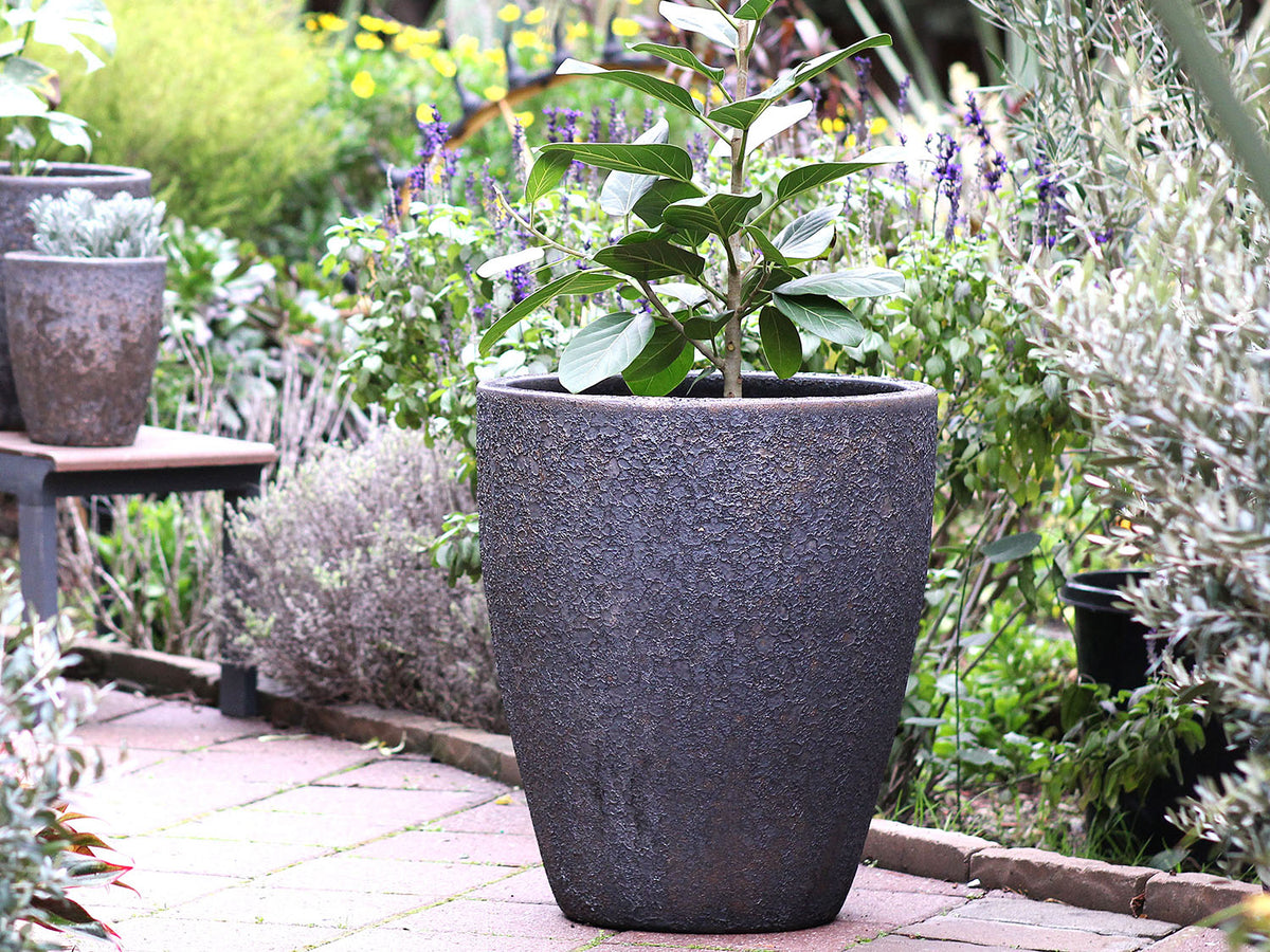 XLG Cone Planter - (Glazed) By Plantatorem