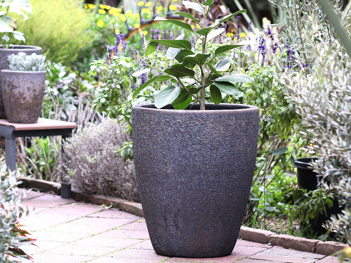 Cone Planter - (Glazed) By Plantatorem