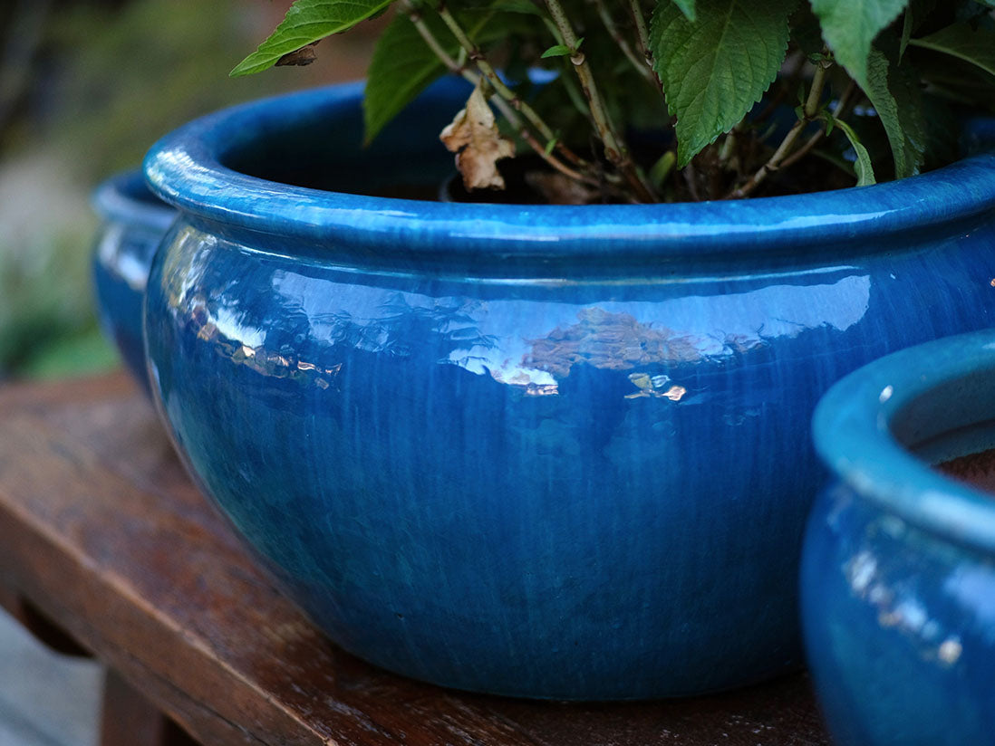 Low Jar Planter By Plantatorem