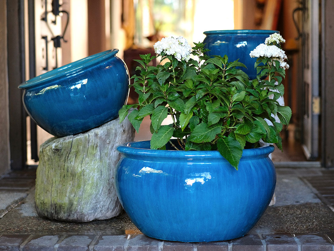 Low Jar Planter By Plantatorem