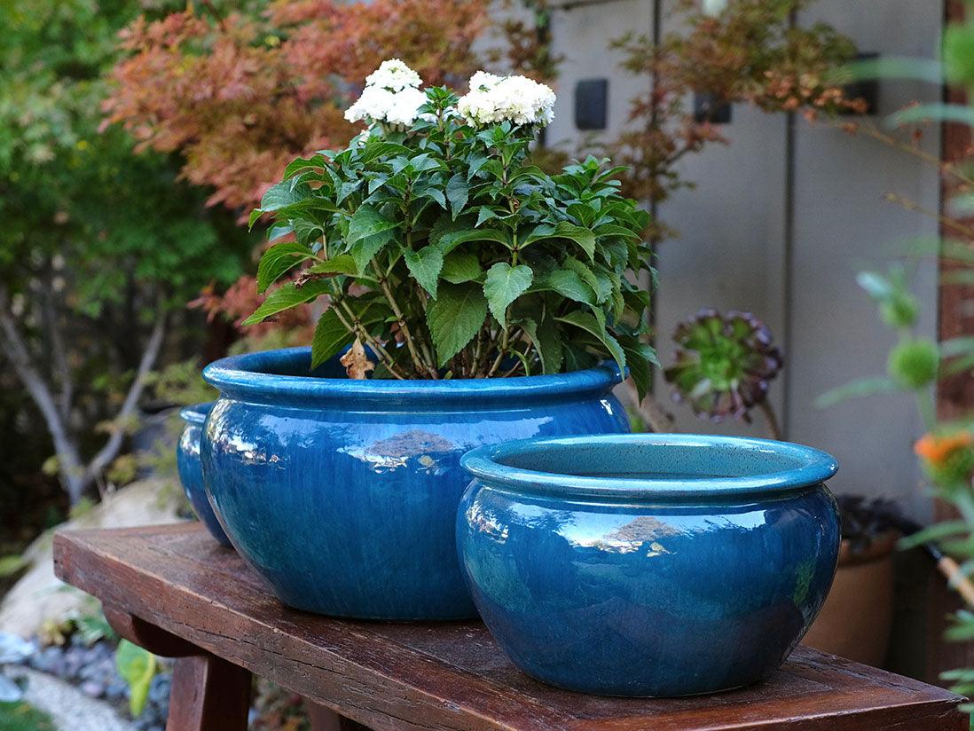 Low Jar Planter By Plantatorem