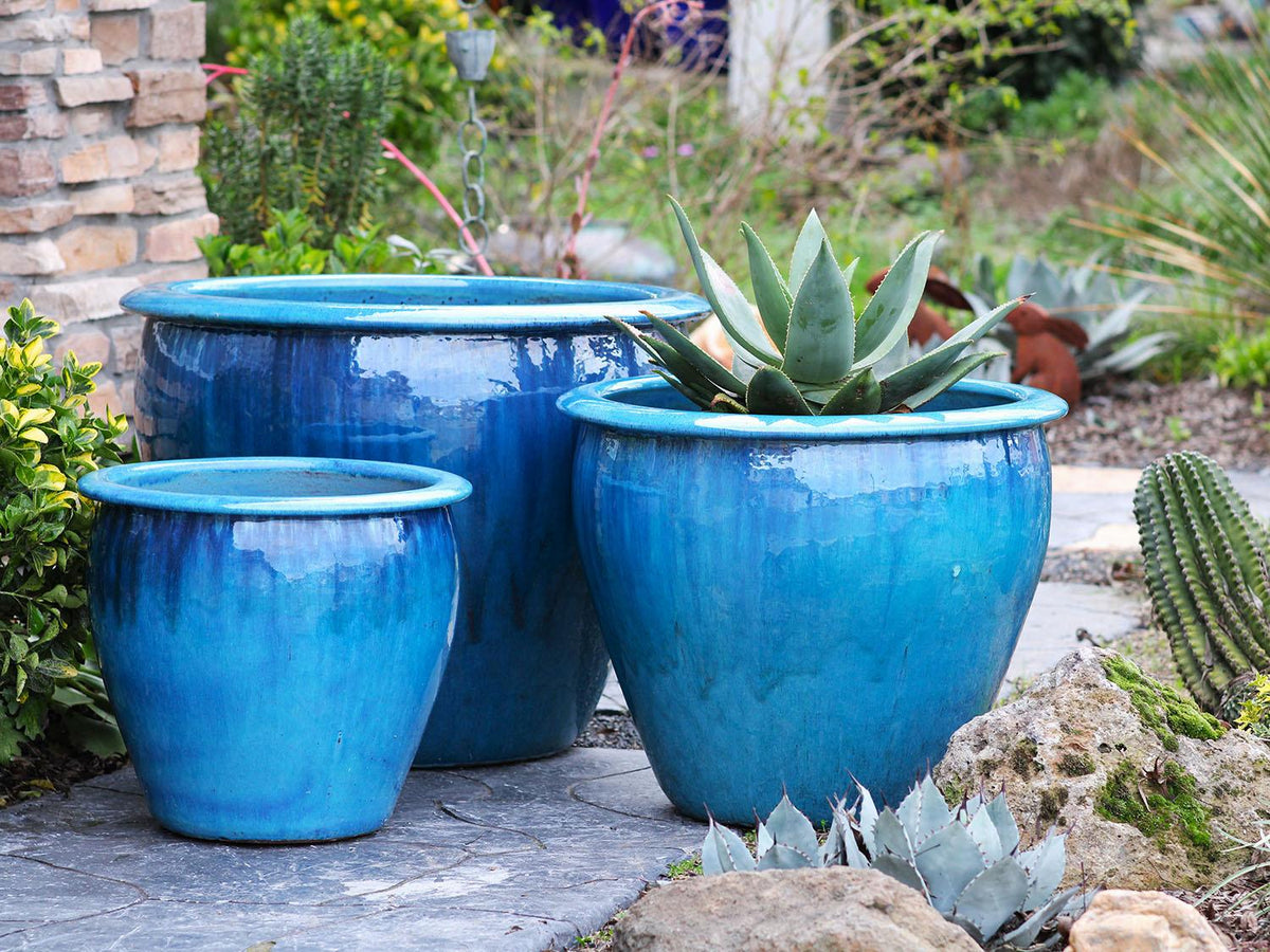 Fish Bowl Pots By Plantatorem