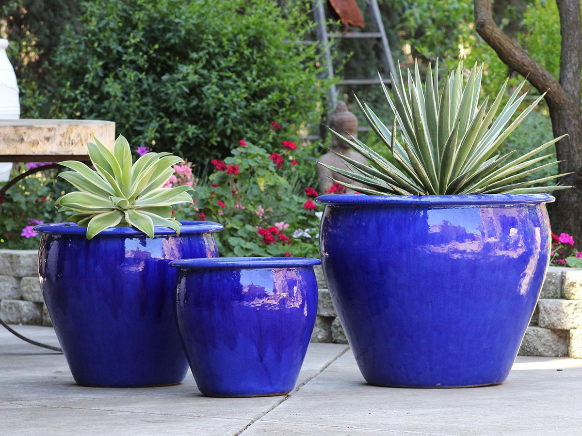 Fish Bowl Pots By Plantatorem