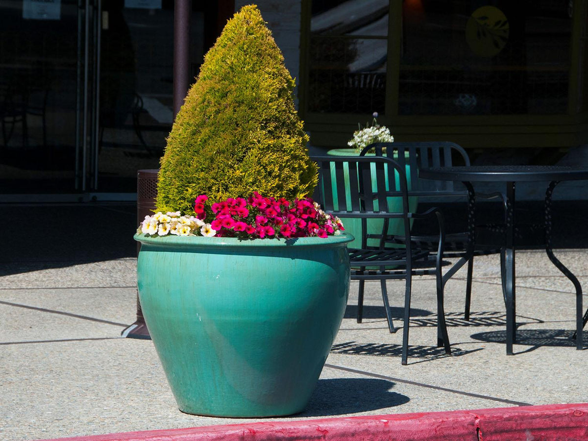 Fish Bowl Pots By Plantatorem