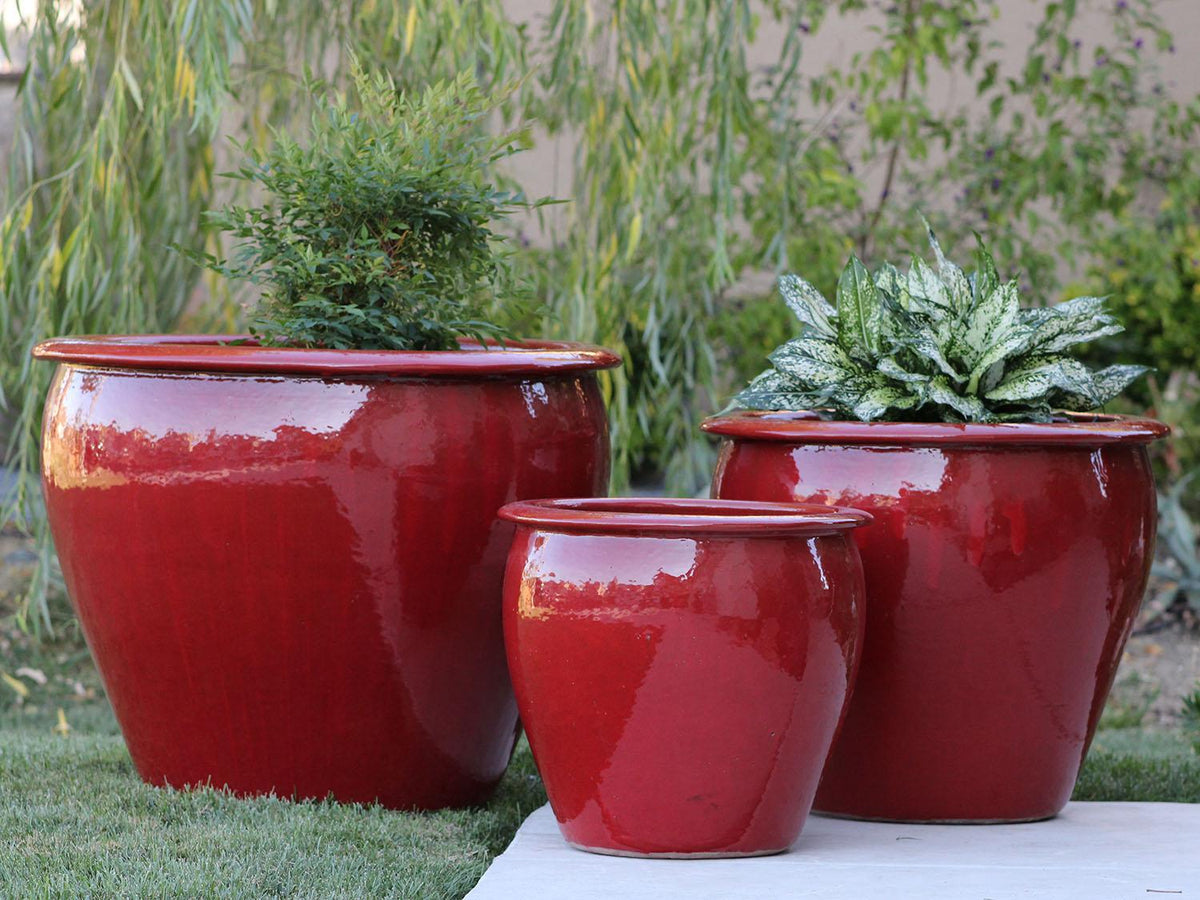 Fish Bowl Pots By Plantatorem