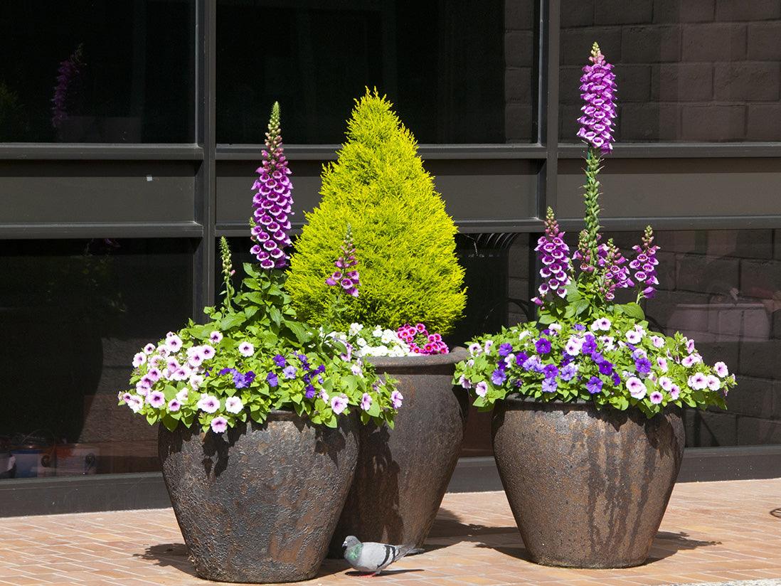 Fish Bowl Pots By Plantatorem