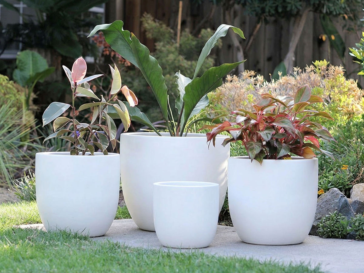 Big Sonoma Planter By Plantatorem