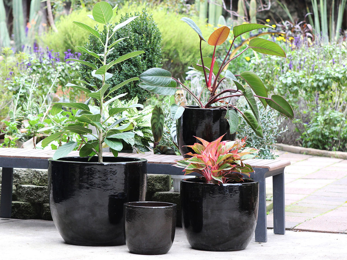 Egg Shell Pots By Plantatorem