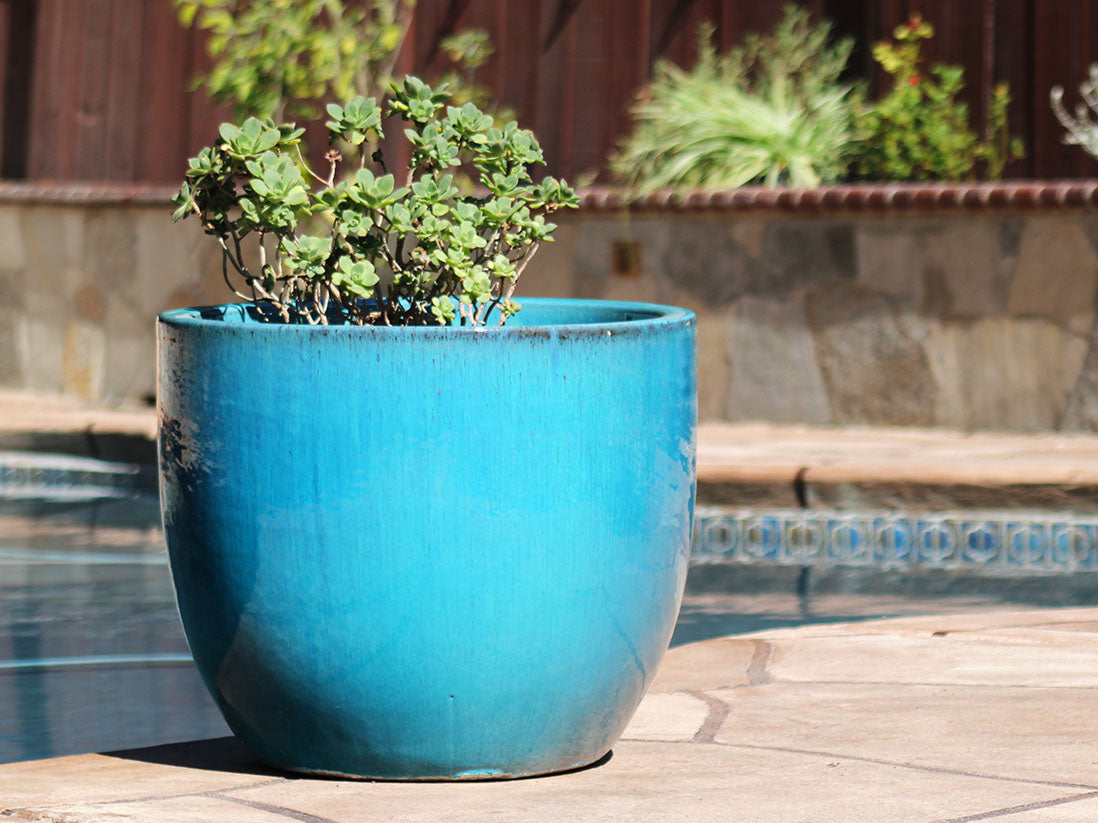 Egg Shell Pots By Plantatorem