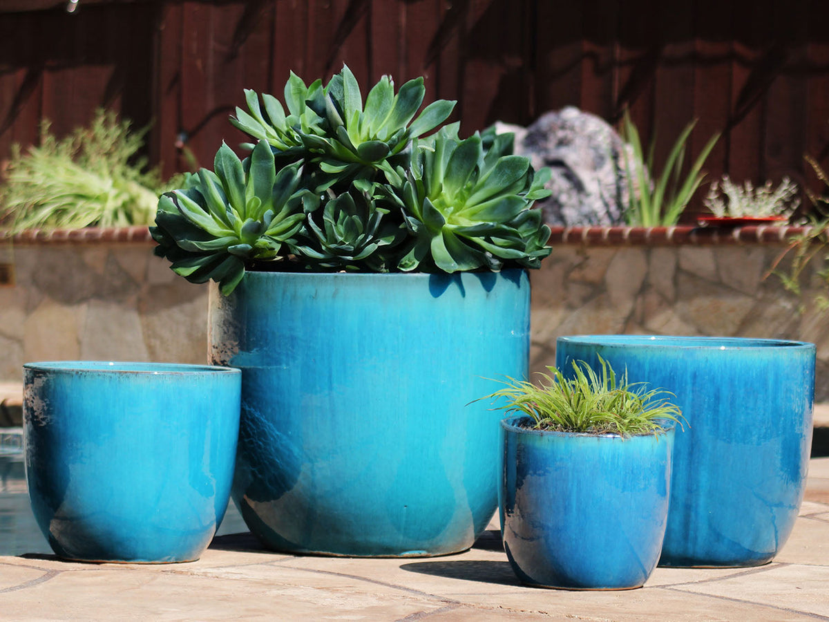 Egg Shell Pots By Plantatorem